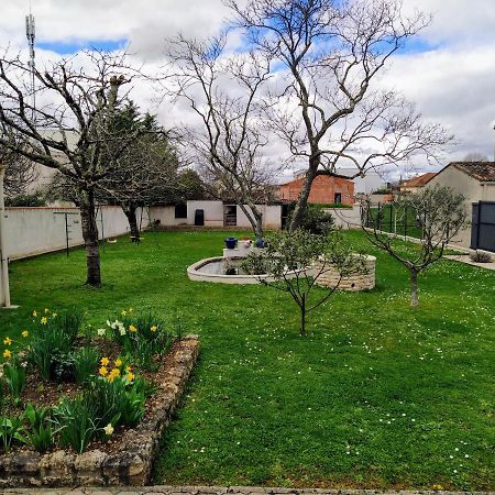 Maison Plain Pied Avec Jardin, Terrasse Et Veranda Cognac Eksteriør billede